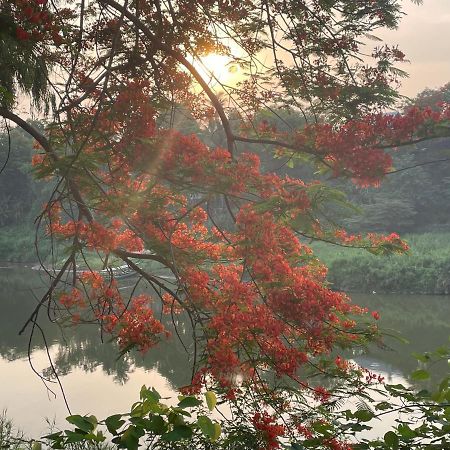 遗忘时光guesthouse Sky Dragon Guesthouse Luang Prabang Buitenkant foto